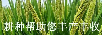 杀菌剂分为_杀菌剂分几类_杀菌剂分类