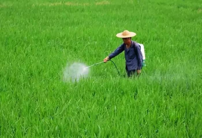 杀菌剂包含四大类，用法到底有啥不同？